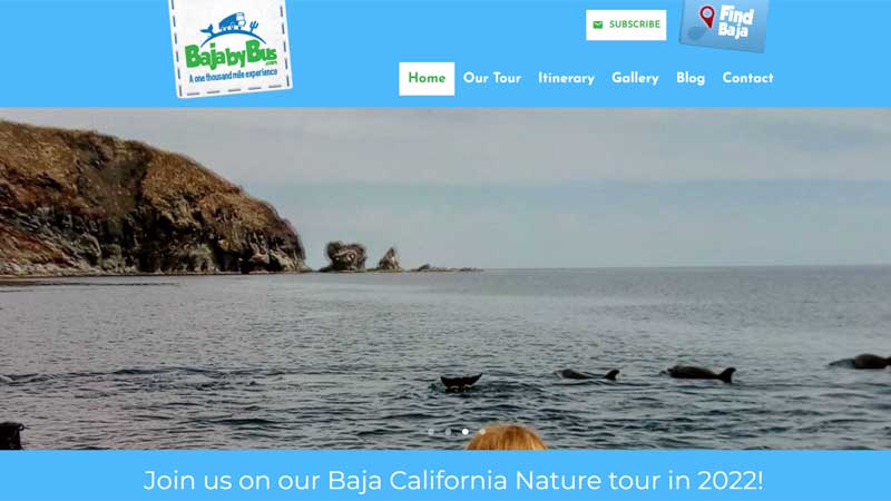 TRAVELLING Website Template Design BAJA